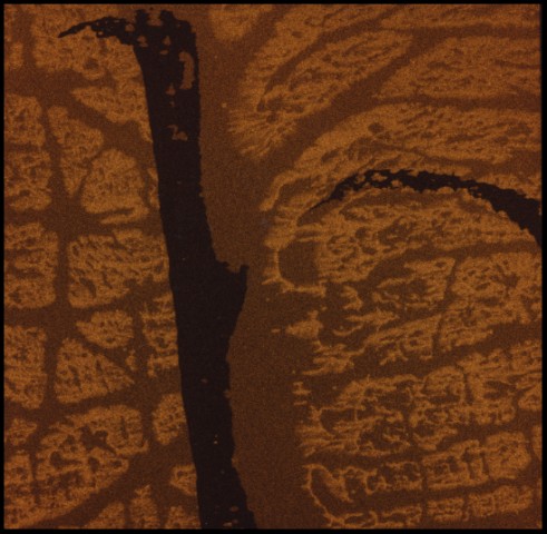 Work Sample