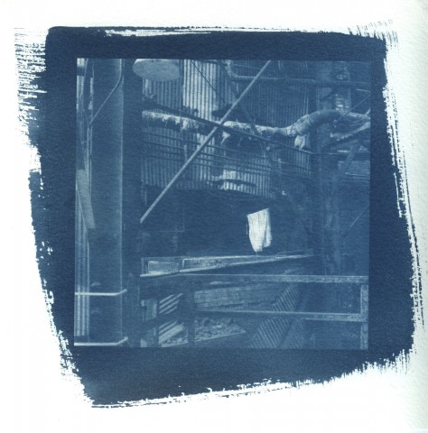 Work Sample